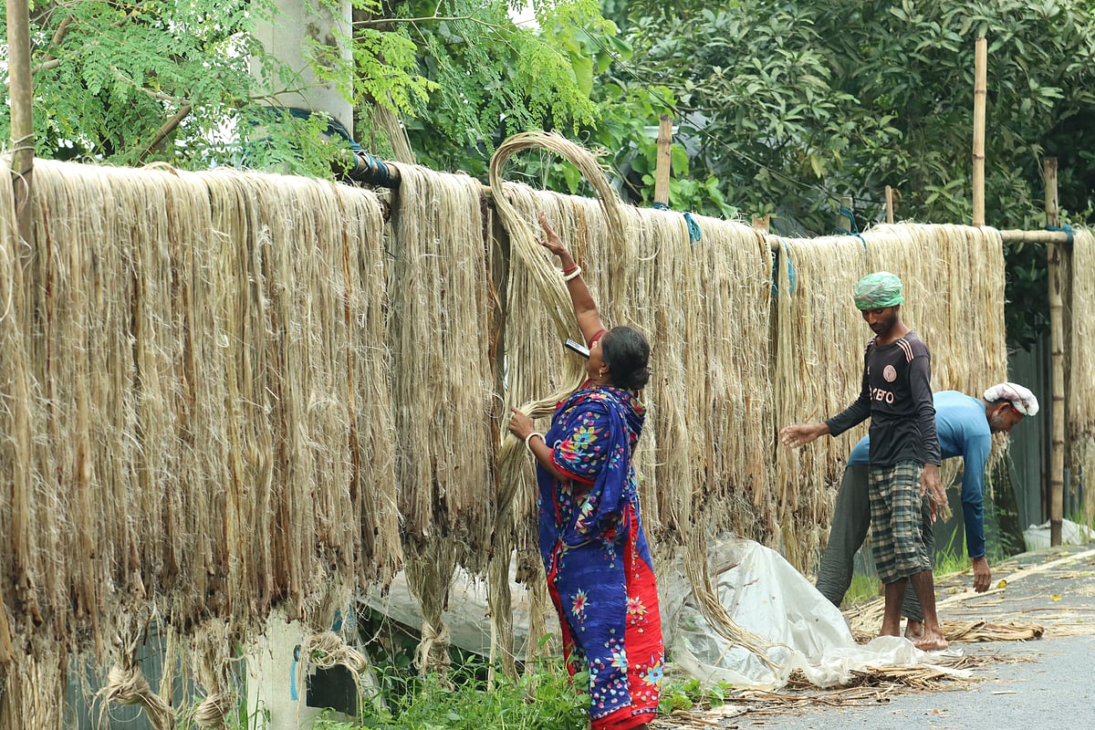 পাট রপ্তানি তিন বছরের মধ্যে সর্বোচ্চ, কারণ কী