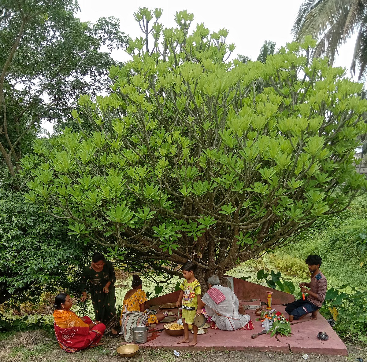 Manasa Puja: worship that conquers fear