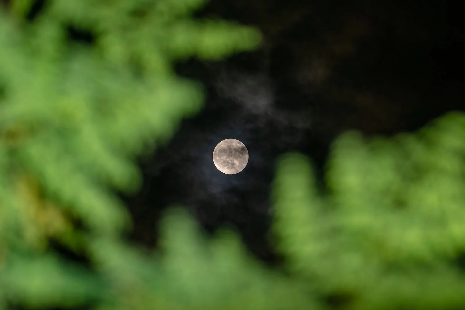মেঘ আর পূর্ণিমার চাঁদের লুকোচুরি