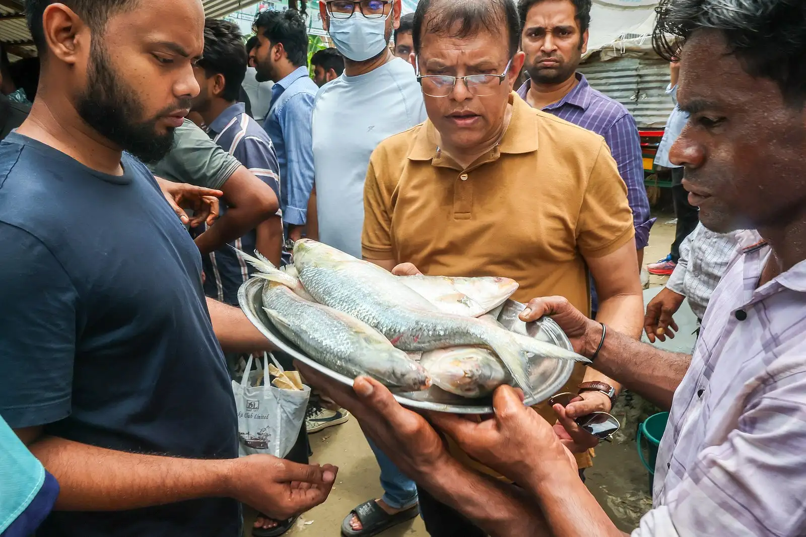 পদ্মার ইলিশের হাটে টাটকা মাছের পসরা
